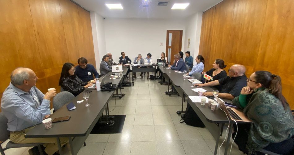 Reunión Comisión Mixta del IV PNDE